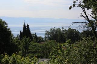 Apartments with a parking space Opric, Opatija - 7828 - 6