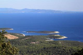 Apartments with parking space Rukavac, Vis - 8897 - 7