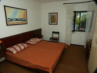 Seaside secluded apartments Cove Srhov Dolac, Hvar - 2072 - 8