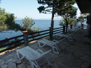 Seaside secluded apartments Cove Srhov Dolac, Hvar - 2072 - 1