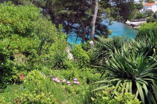 Apartments by the sea Basina, Hvar - 542 - Vrbanj - 3