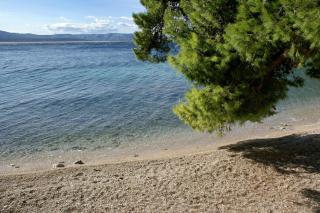 Apartments by the sea Bol, Brac - 2904 - Bol - 8