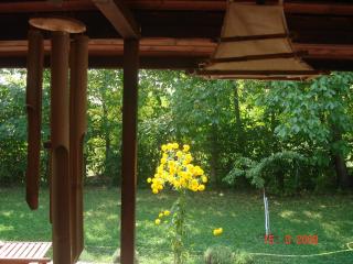 Pensiunea Bamboo - Villa - 3