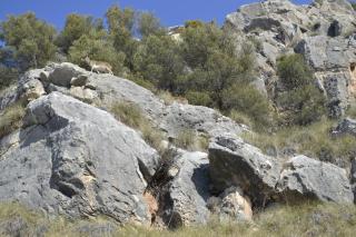 Apartamentos Rurales Parque - Pegalajar - 1