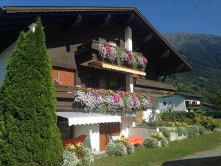 Ferienwohnungen Felder - Schruns - 8