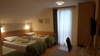 Guest house Vila Žunić - Zlatibor - 6