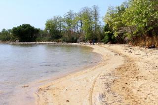 Family-friendly apartments with swimming pool Privlaka, Zadar - 5762 - 7