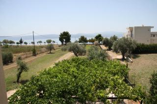 Villa Vlichos - Amarynthos - 3