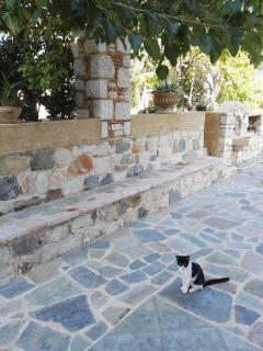 Athina's Apartment in Olive Grove - Faliraki - 2