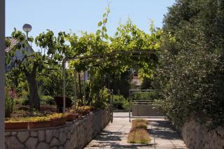 Apartments with parking space Punat, Krk - 5410 - Punat - 3