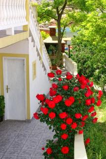 Apartments with parking space Metajna, Pag - 4116 - Zubovići - 4