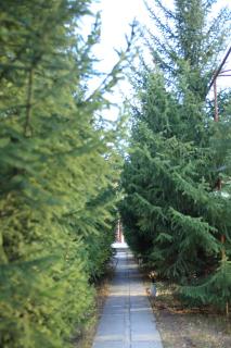 Aska Hotel - Naryn - 6