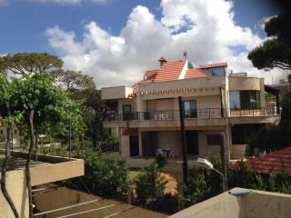 Honey Guesthouse - Jezzin - 0