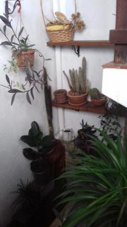 Osteria alle Risorgive - Codroipo - 3