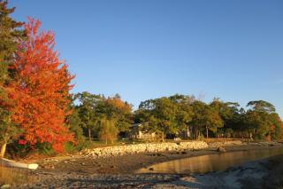 Acadia Ocean Front Garden Cottages - 6