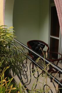 Agenda 2000 Hotels Ltd - Kampala - 2