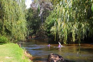 Alpine Riverside Cottages - Porepunkah - 5