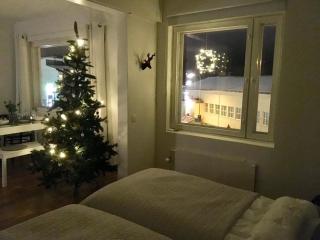 Lapland Quality City Apartment Rovaniemi - 9