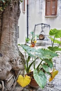 B&B Garibaldi - Alcamo - 0