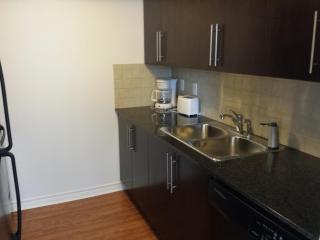 2 Bedroom 1 Bathroom Prime Location in Mississauga - Mississauga - 4