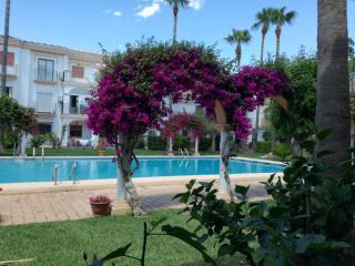 Planta baja con porche y piscina, cerca del mar - Dénia - 6