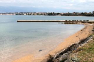 Apartments by the sea Nin, Zadar - 6149 - 9