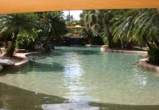 Cairns Golf Course Apartment - Cairns - 0