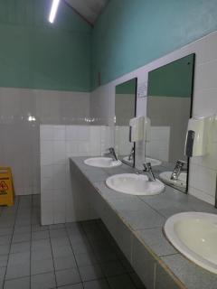 Rainforest Eco Lodge - 2