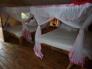 Roika Tarangire Tented Lodge - 6