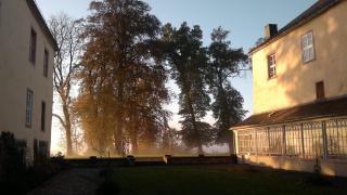 Schloß Wittgenstein - 6