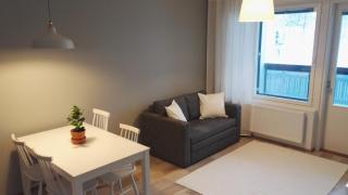 City Apartment Pääsky - 9