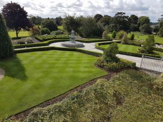 New Forest Estate Lodges - Tyrrellspass - 5