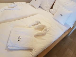 Rodinný wellness hotel U Langrů - 9