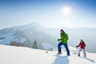 Appartements Ferienwohnungen Alpenblick - 1