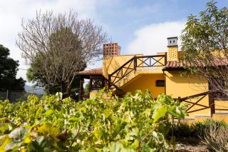 Finca Casa Yaya - Icod de los Vinos - 8