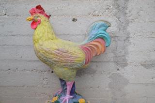 Il Giardino del Gallo - Foligno - 8