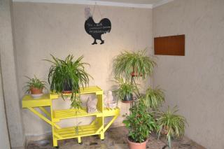Il Giardino del Gallo - Foligno - 7