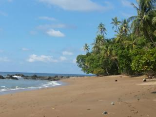 Jacobin Hostel & Cabins - 6