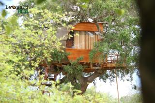 Leopard Nest - Glamping in Yala - Yala - 8