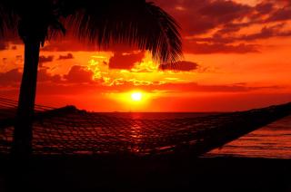 Bamboo Backpackers - 2