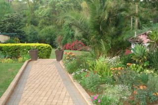 Taunton House B&B - Pietermaritzburg - 1