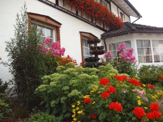 Pension Haus Seidenweber - Schmallenberg - 1