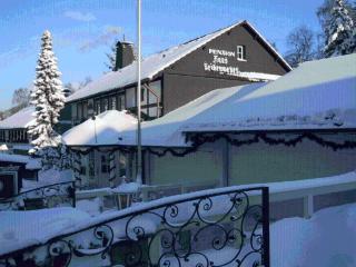 Pension Haus Seidenweber - Schmallenberg - 6