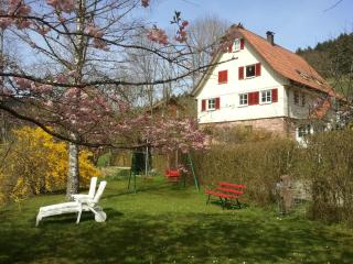 Ferienwohnung-Jungbauernhof - Alpirsbach - 1