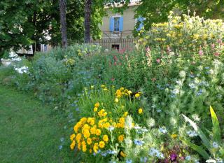 Domaine Les Rivales - Cavaillon - 9