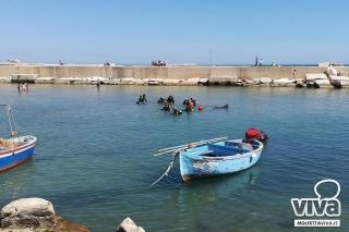 B&B Al Duomo Molfetta - 9