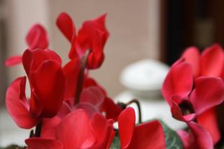 Imbarcadero Apartment - 8