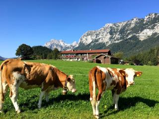 Vorderponholz Ferienwohnungen - Ramsau bei Berchtesgaden - 1