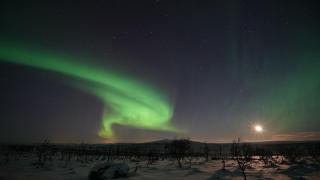 Arctic Aurora Borealis cottages - Nuorgam - 4