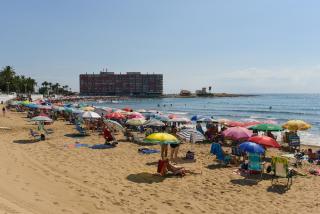 Apartment Finlandia - Torrevieja - 6